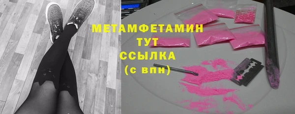 индика Ельня