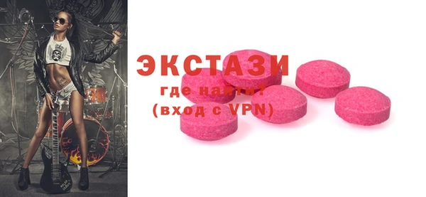индика Ельня