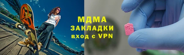 индика Ельня
