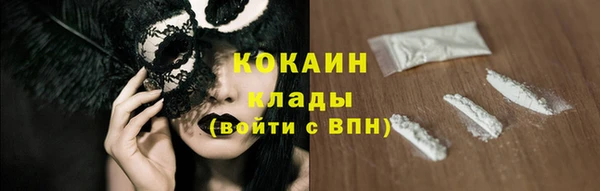 индика Ельня