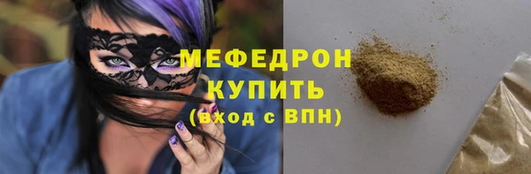 индика Ельня