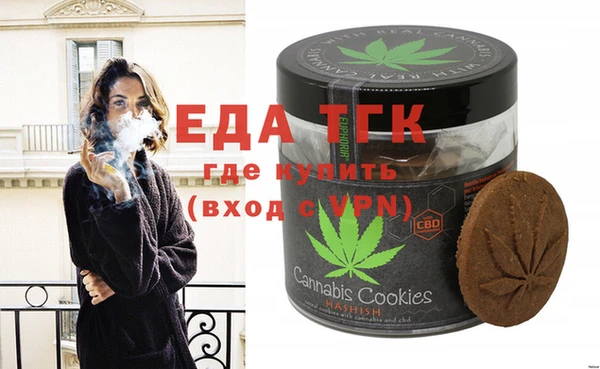 индика Ельня
