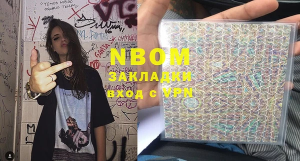 индика Ельня
