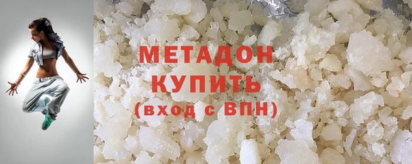 индика Ельня