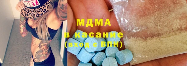индика Ельня