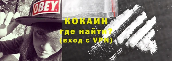 индика Ельня