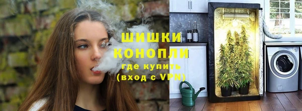 дурь Елабуга
