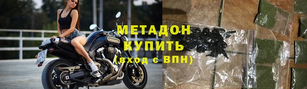 индика Ельня