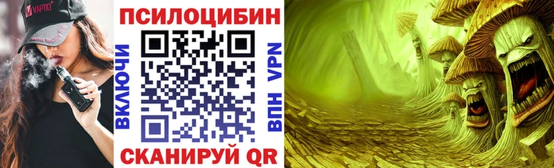 Купить  Томск  Псилоцибиновые грибы Psilocybine cubensis 